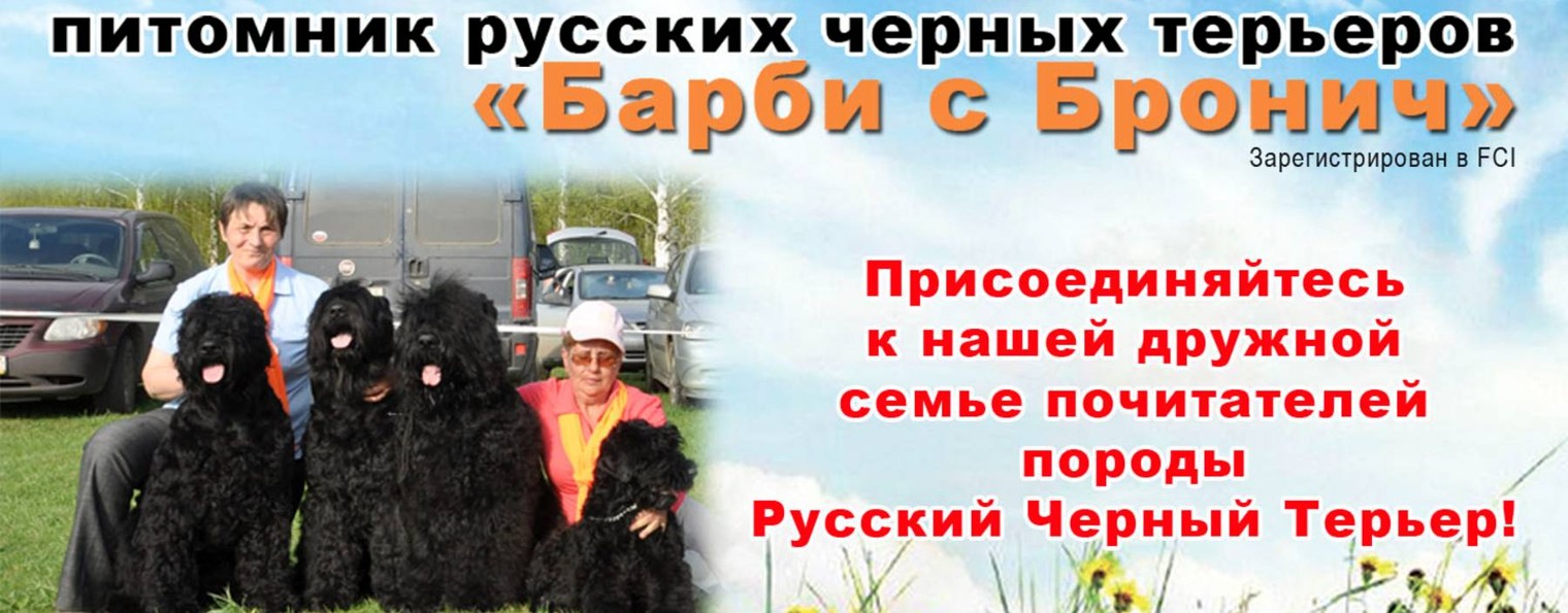 Черные терьеры "Барби с Бронич"