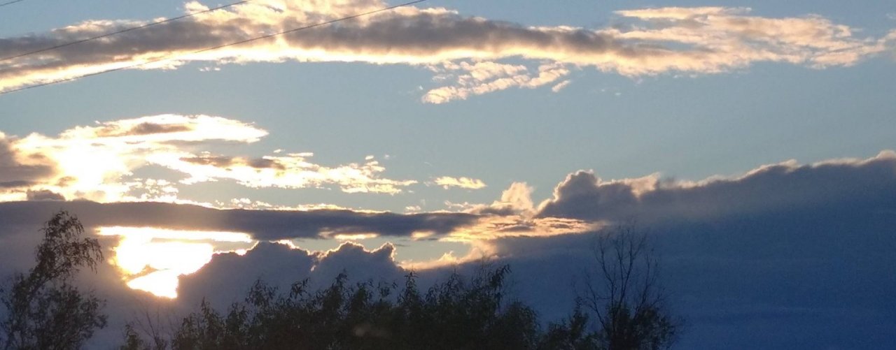 Павел Сычев - гармонь