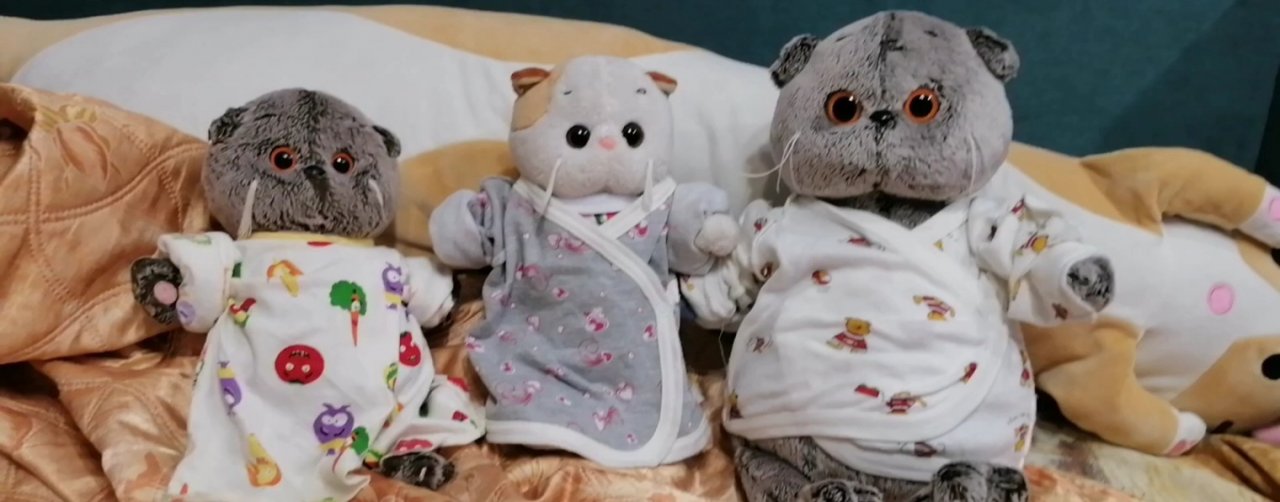 Семья Басиков и Лили 🐱🥰😍