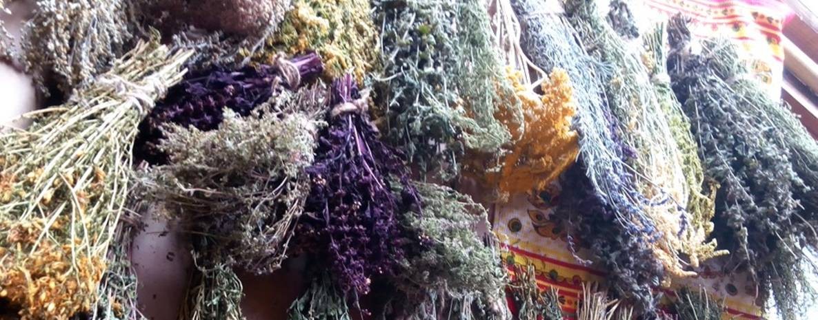 О Травах с Любовью