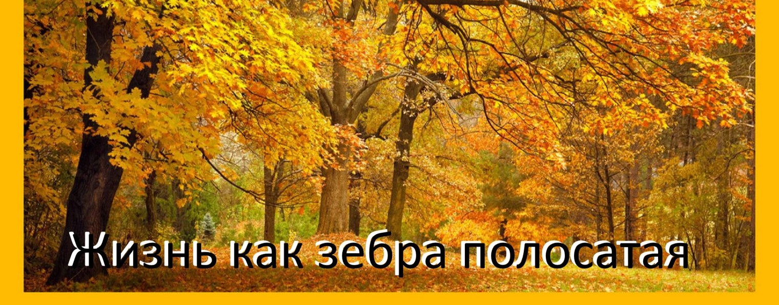 Зебра на пенсии