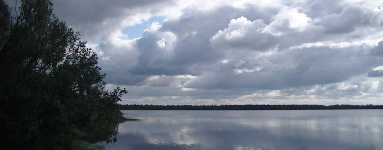 Рыбалка и Грибалка в Сибири