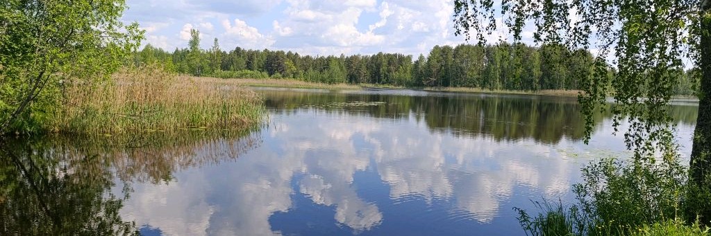 Московские Колхозники