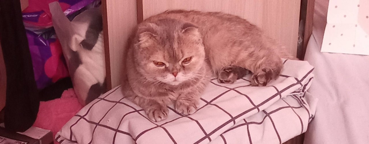 Лайфхаки для геймеров