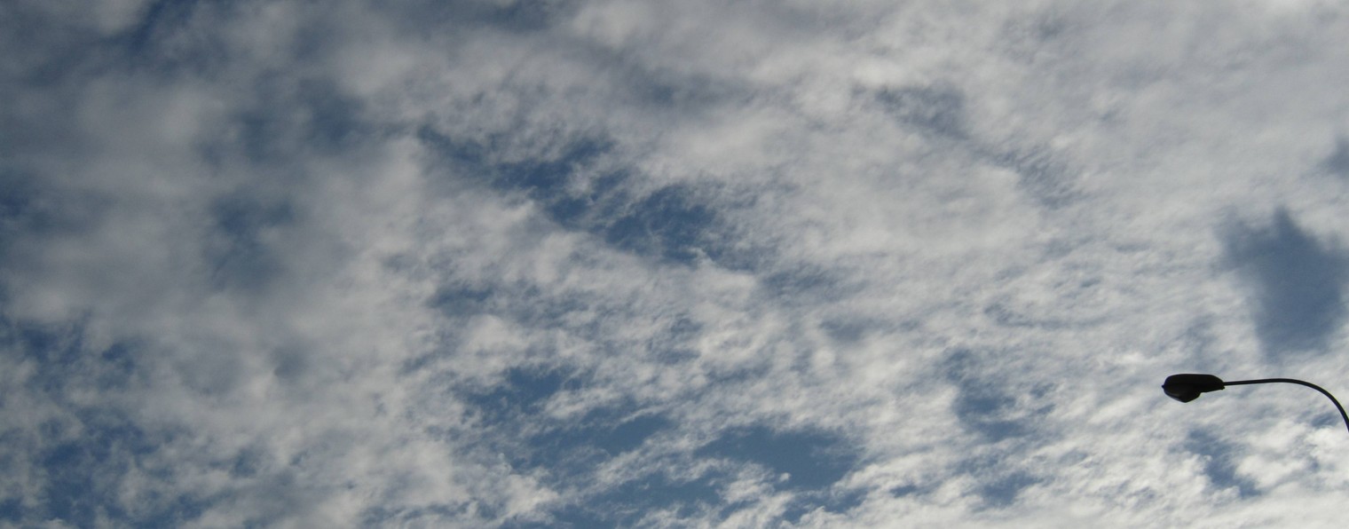 Тайцзицюань Стиль Ян