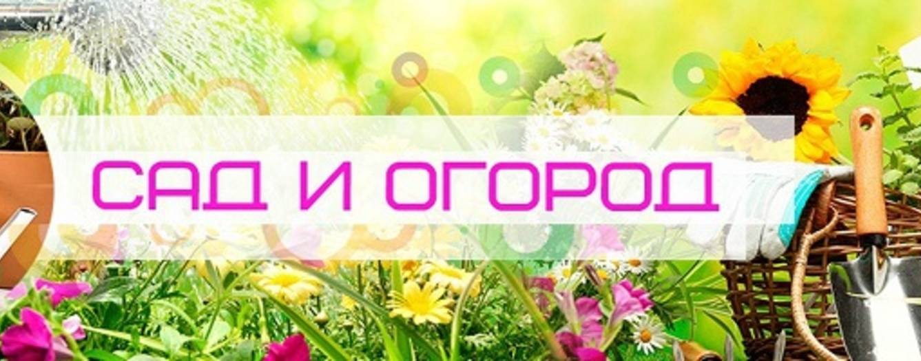 Типичный Садовод Дачник