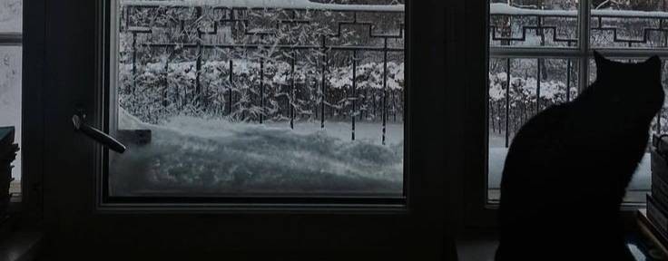 Timelapse from the window