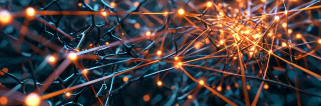 Neuroengineer