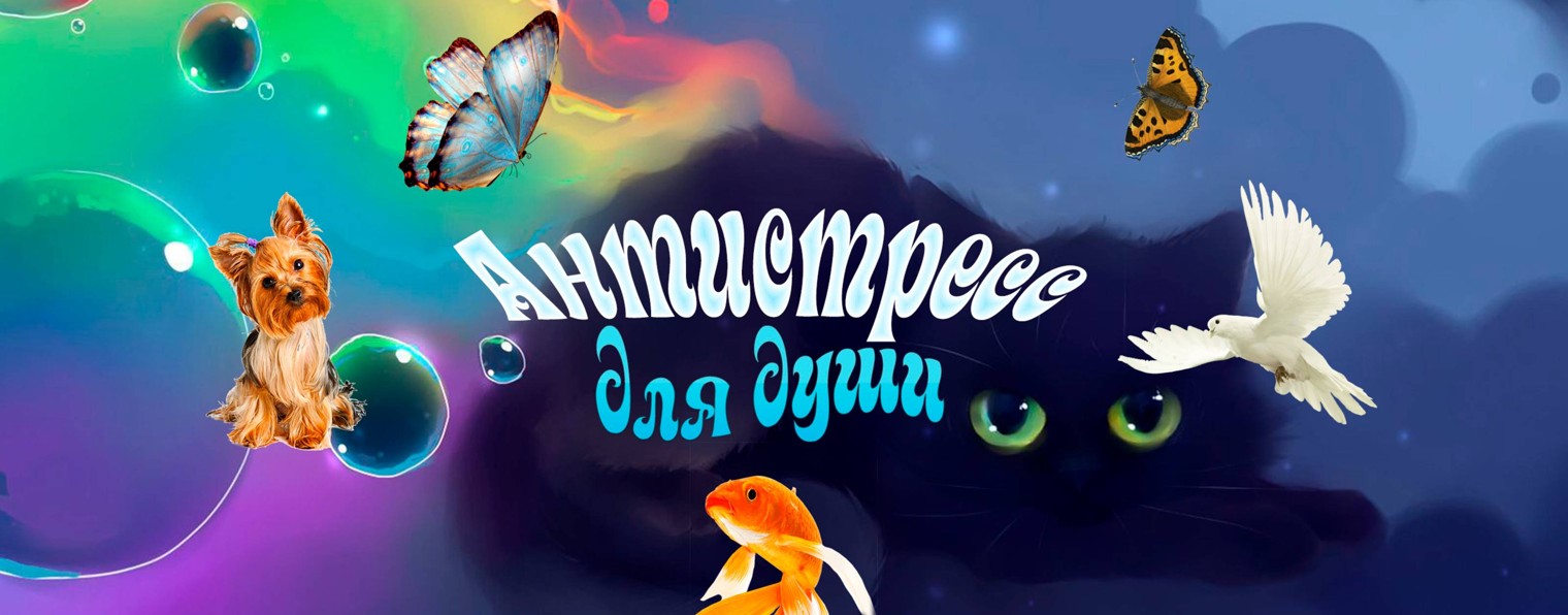 АНТИСТРЕСС для души