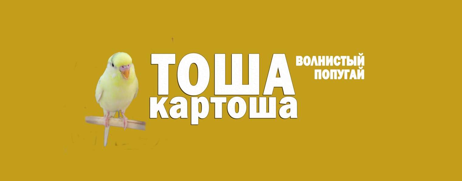 Тоша - Картоша