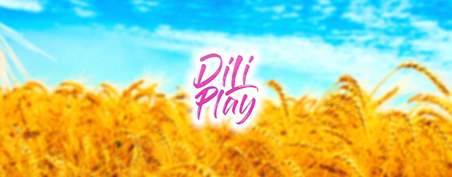 DiLi Play