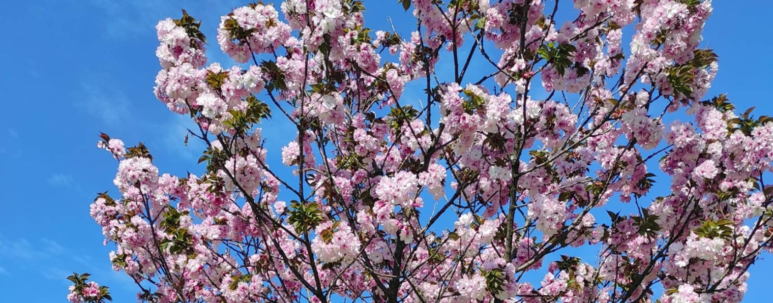 КТН_на_пенсии