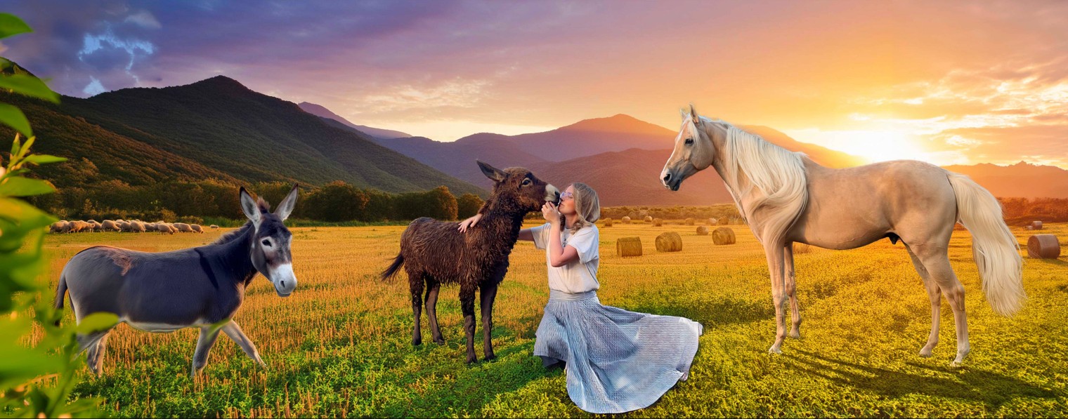 В деревушке у Аннушки - жизнь в деревне