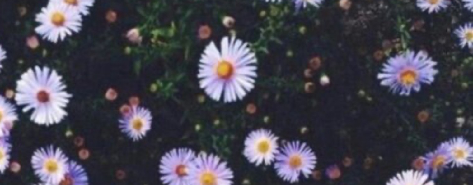 🌳ДЕРЕВЯШКА🌳