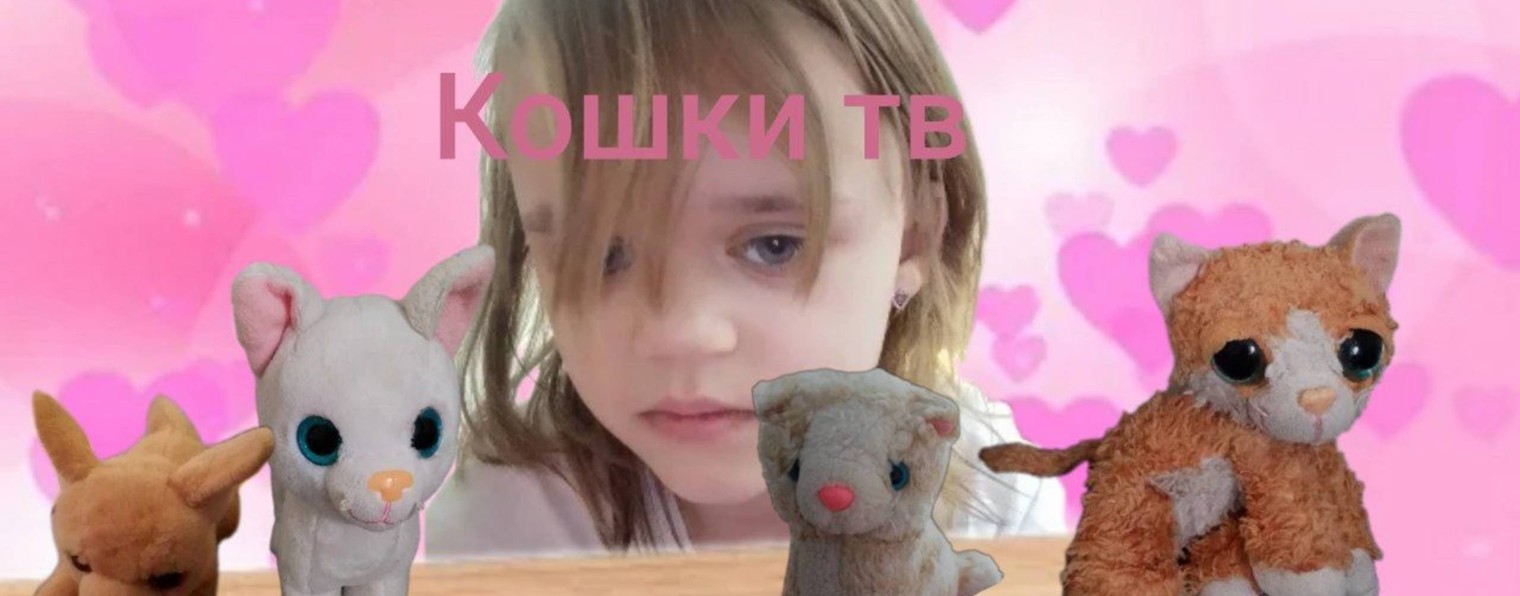 КОШКИ ТВ