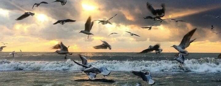 Михаил Солдатов. Творчество. Современная поэзия.