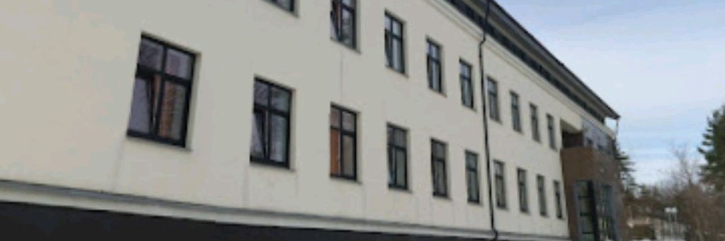 Капибара И Артём