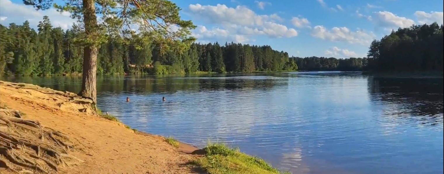 🔷 ФОНД ВИДЕО 🚩