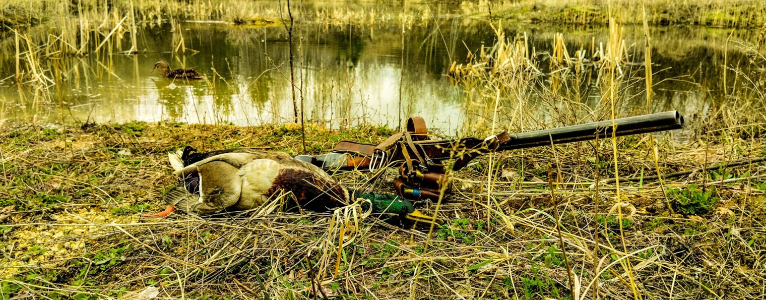 Кролик в шифоньере Охота Рыбалка