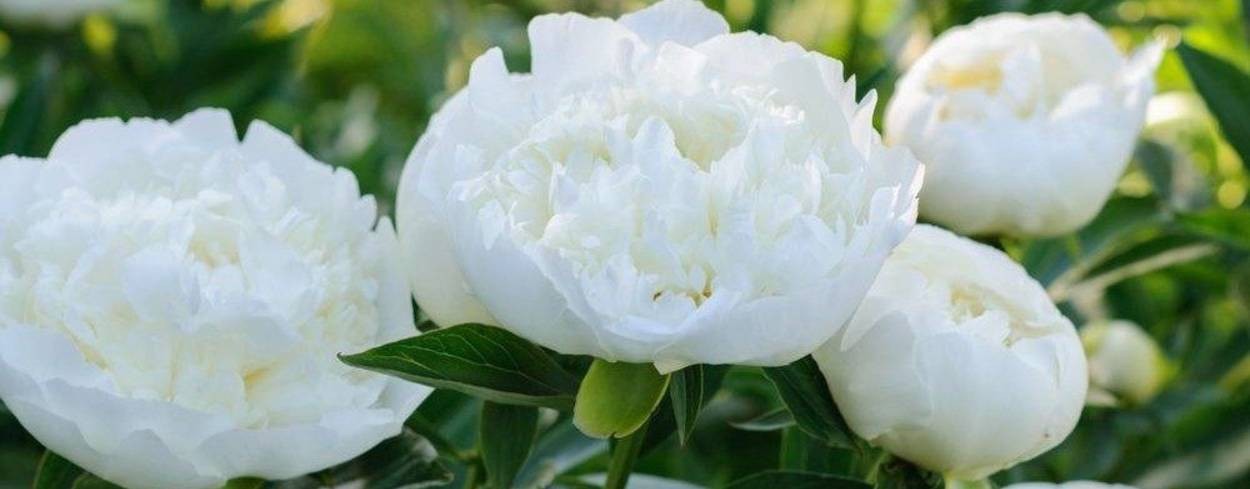 Таро "Insight. Понимание" 💕