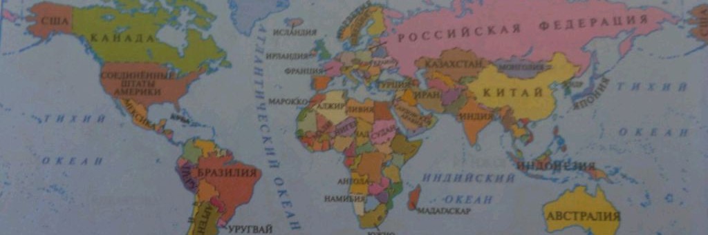 Зелёный Котик