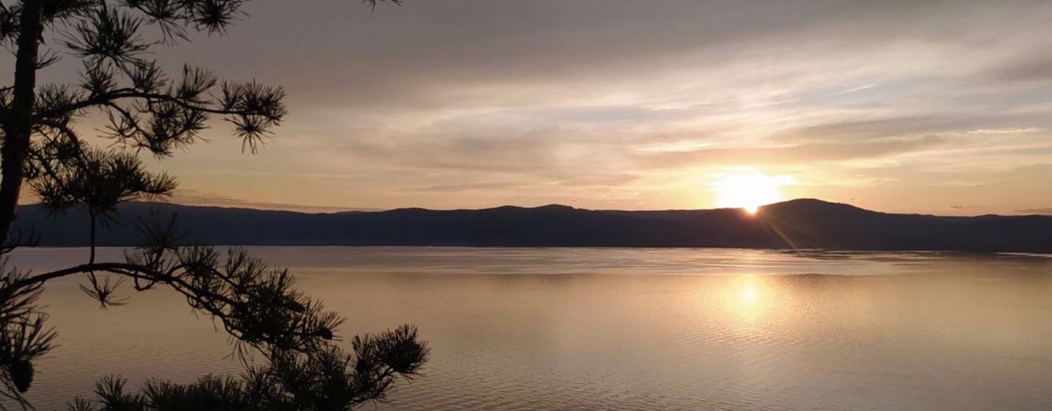 Мария Черникова