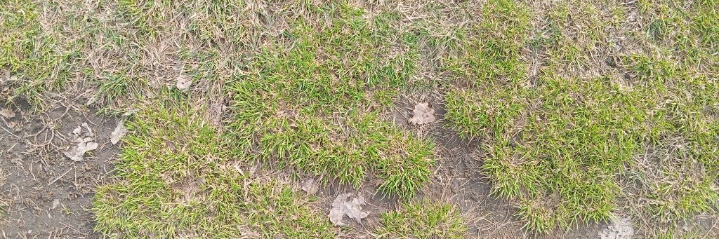 Просто Магия