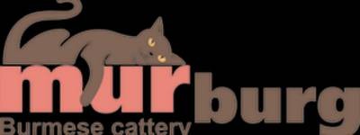 "MURBURG" Бурманские кошки