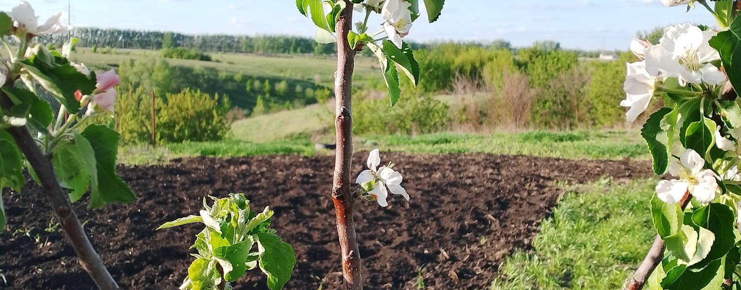жизнь на земле