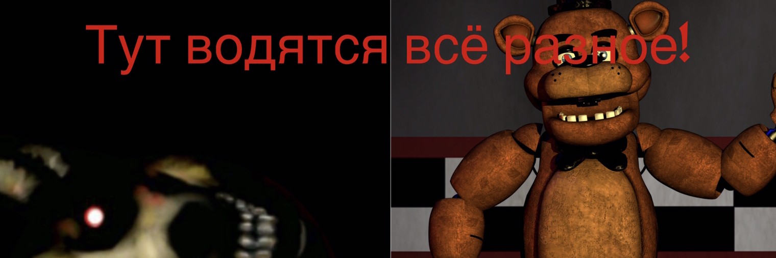 Xp Шоу
