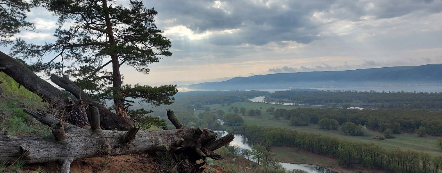 Сергей Щепелев