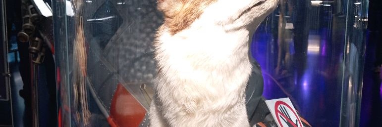 Кейси+Аой и Аня💕❤😍✌