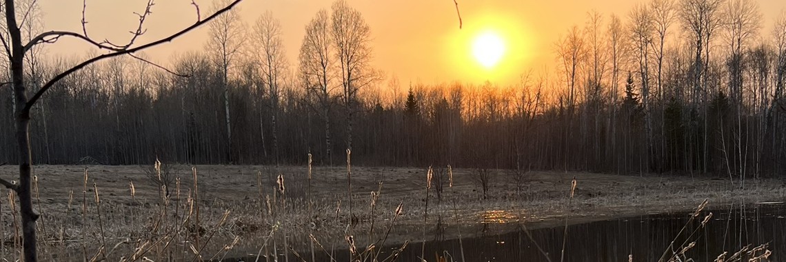 Один на охоте