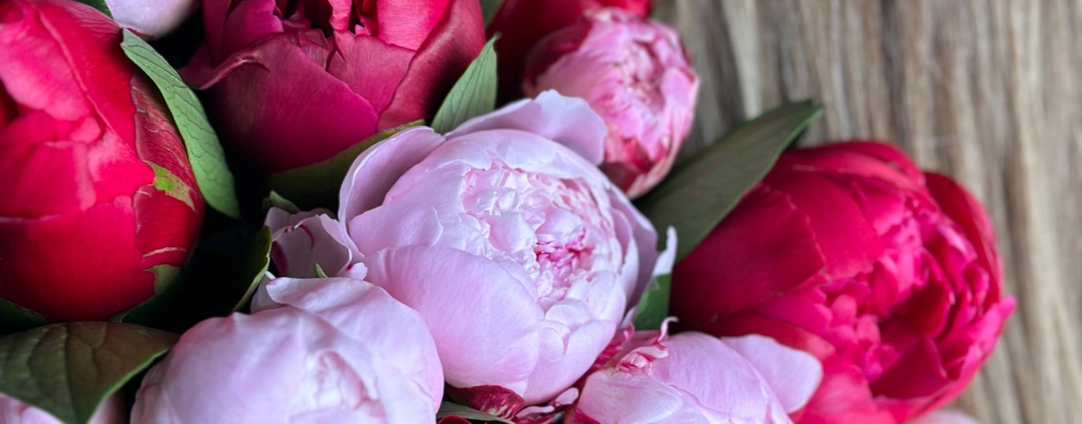 Доставка цветов|Цветы|Cyber Flora® | Кибер Флора®
