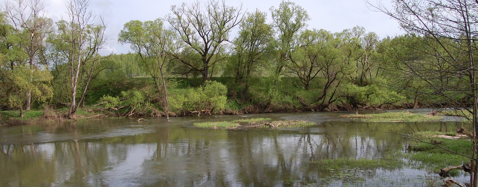 Перекат Fishing