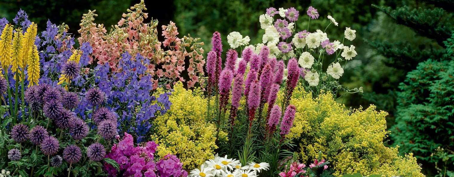 BS GARDEN