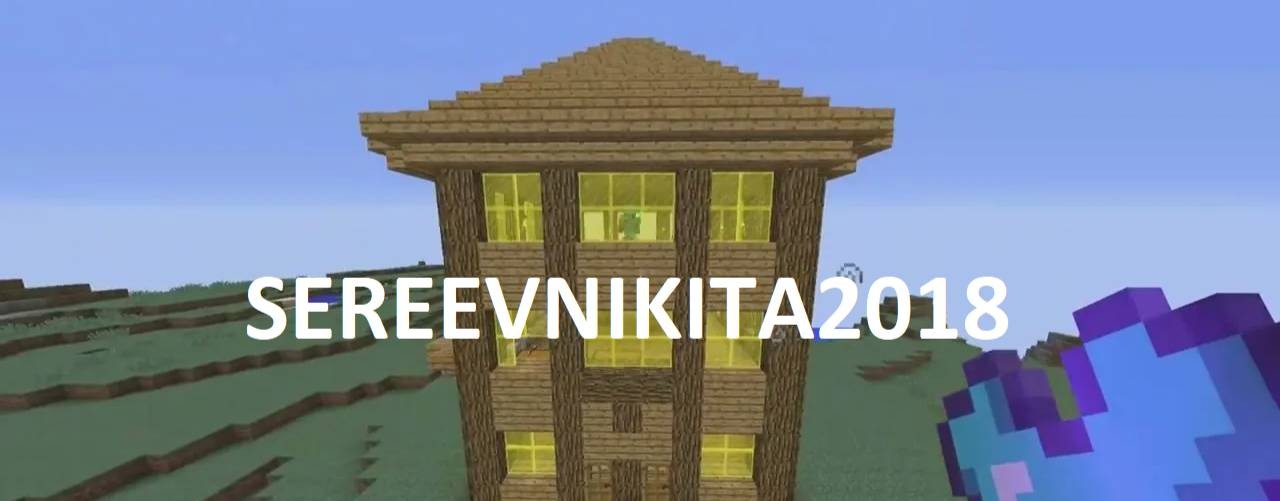 SEREEVNIKITA2018