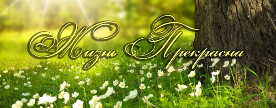 ✨Жизнь Прекрасна ✨