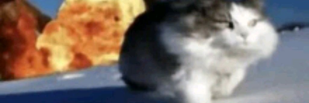 Видео Не Будет