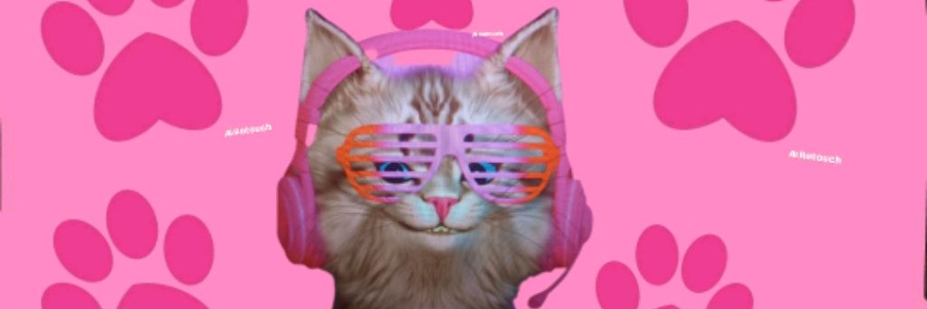 Котёнок Искринка