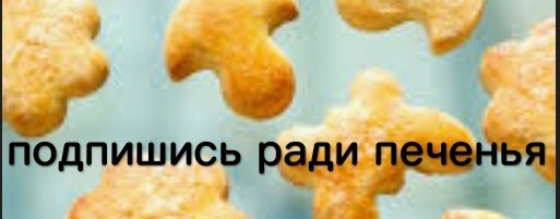 Дима104k[🤠]