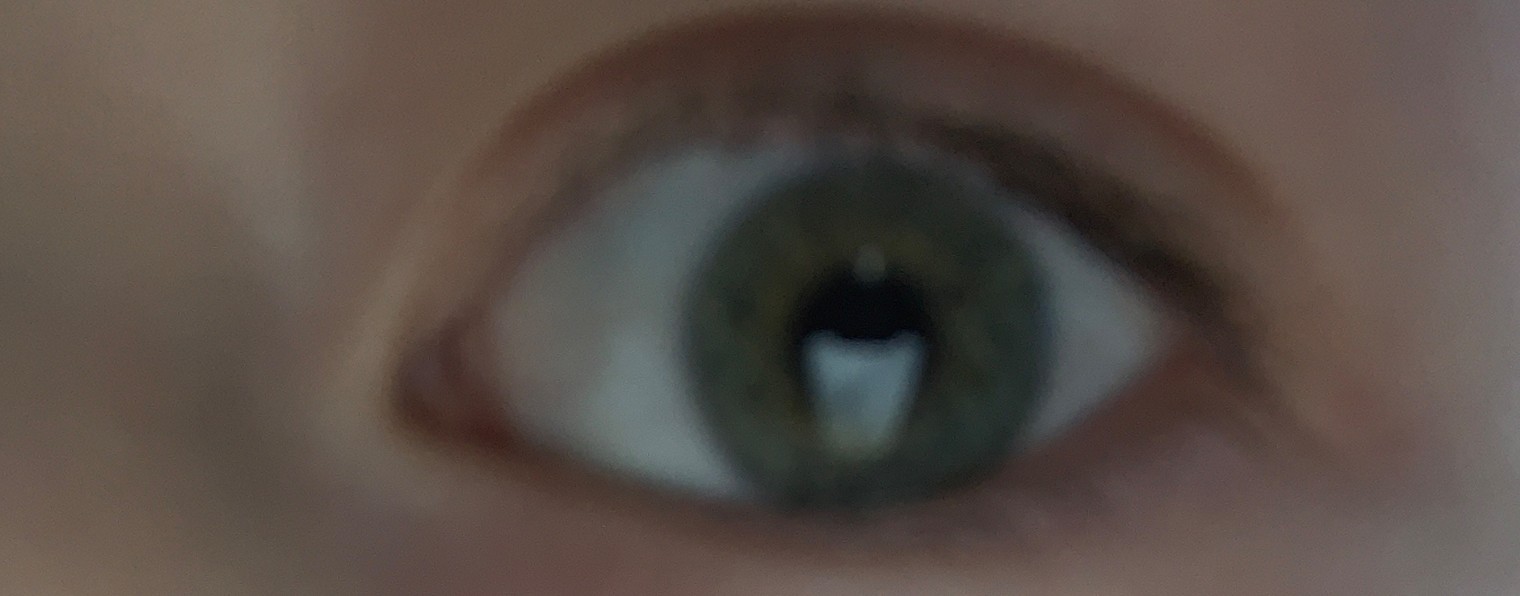 Всё обо всем