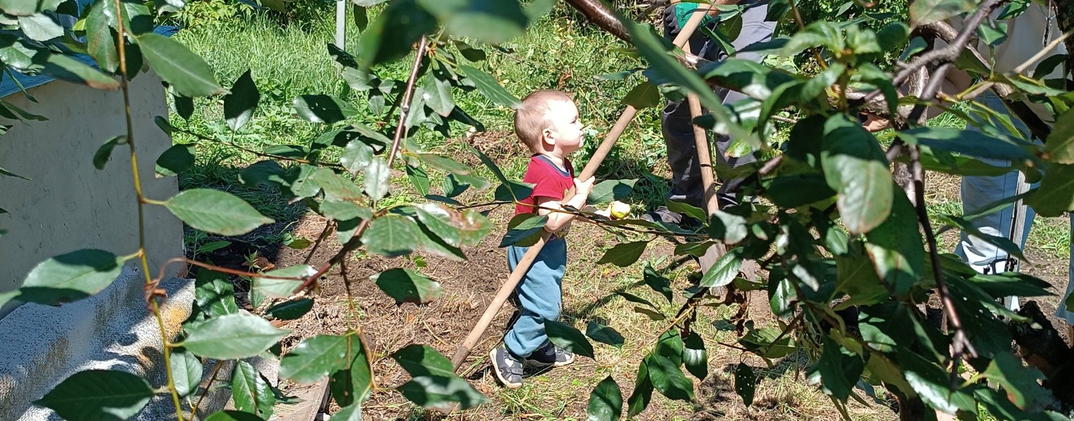 Мой Маленький Мир