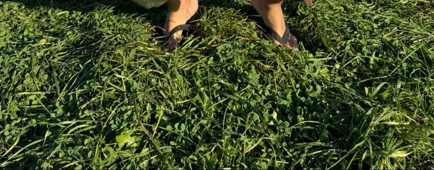 Сергей Рыболовский