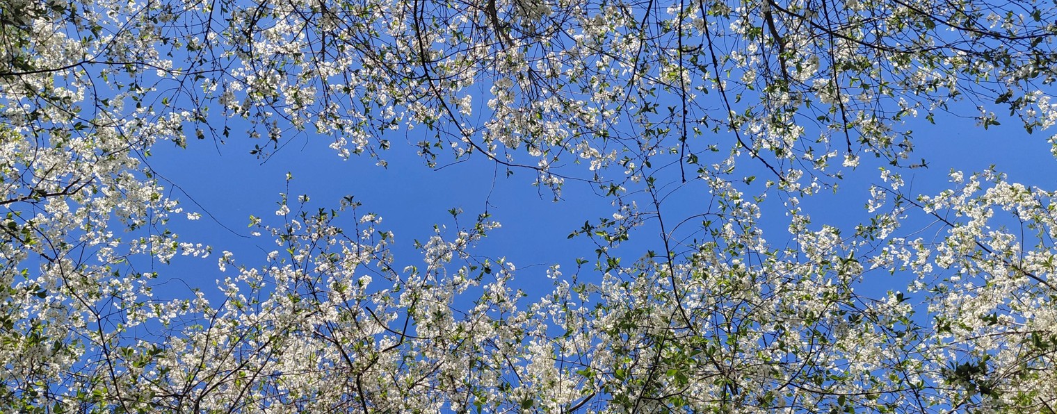 Пешком по...