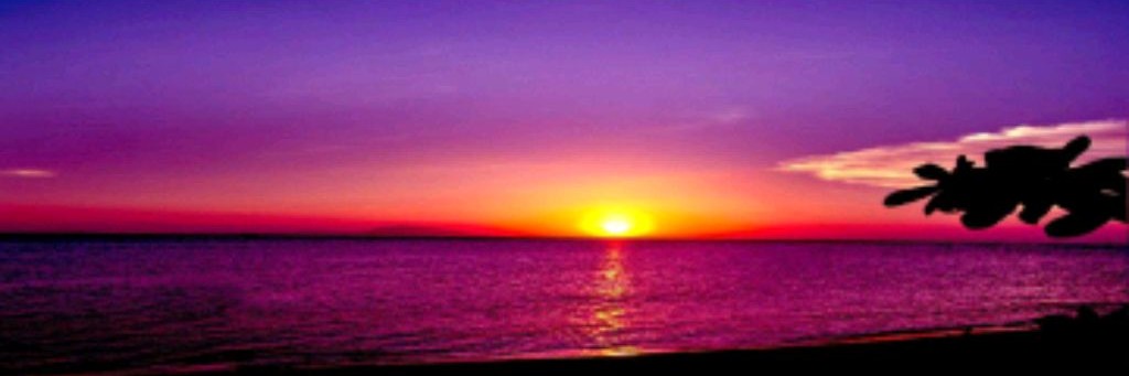 Новости из мира таро