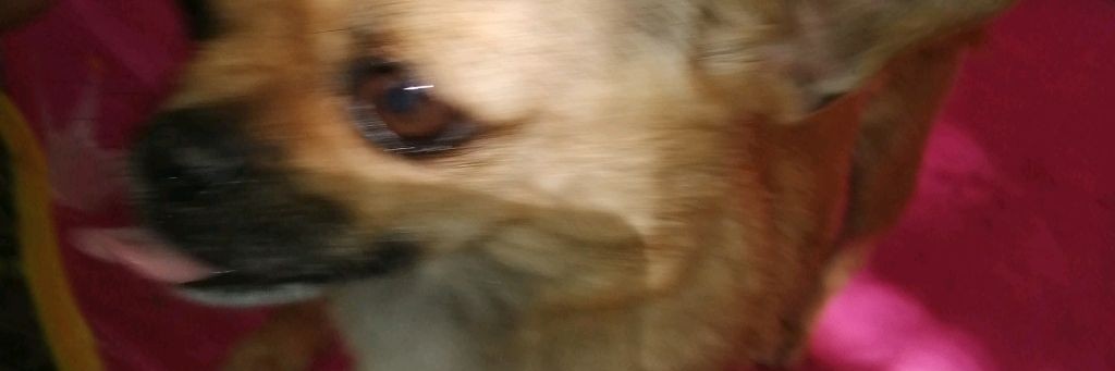 Shorts Енотов 🦝❤️🍭