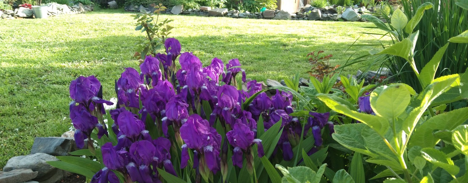 Мой цветочный 🌺МирАни🌺