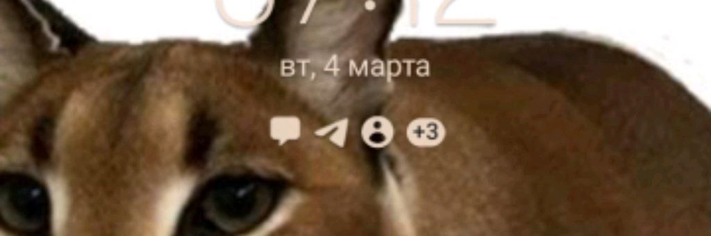 Шлёпа не оригинал