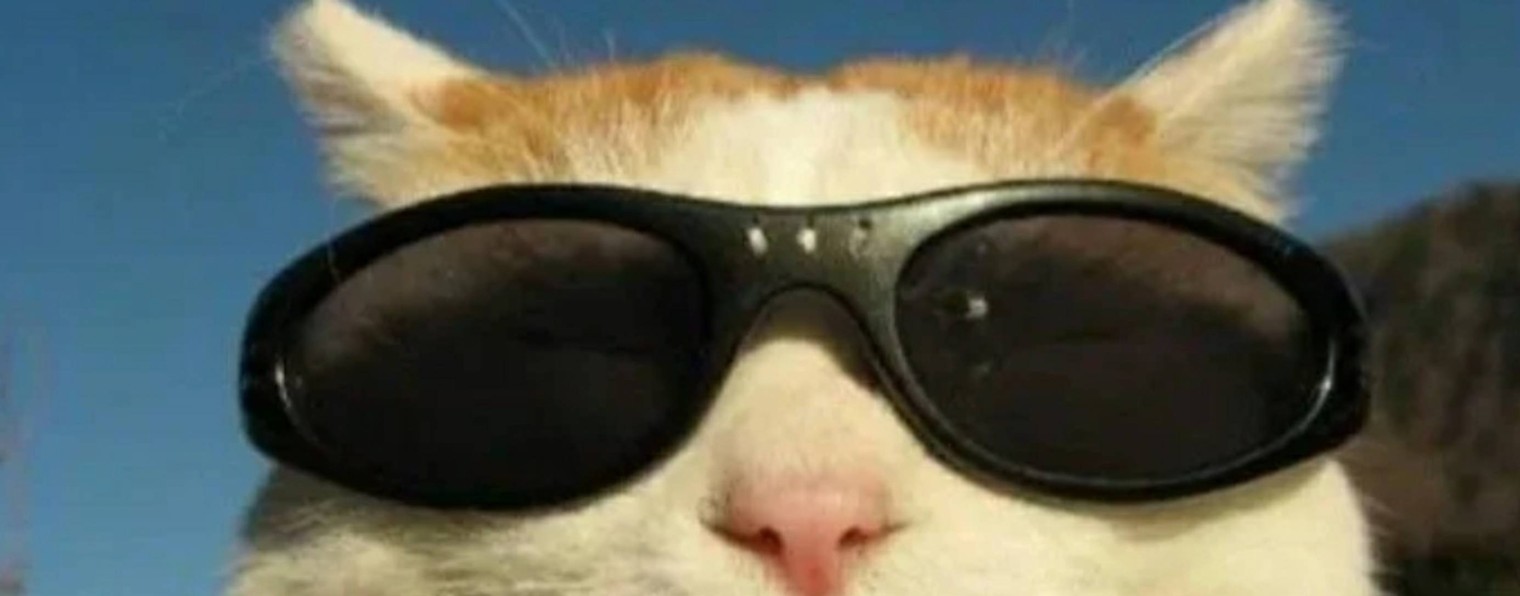 Котики Иришки